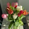 ann_bk